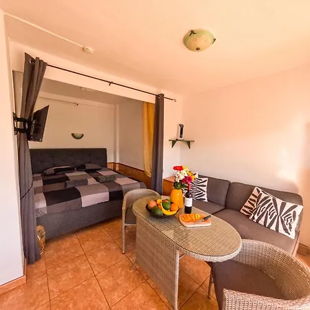 View - Apartment Puerto de la Cruz (Tenerife)