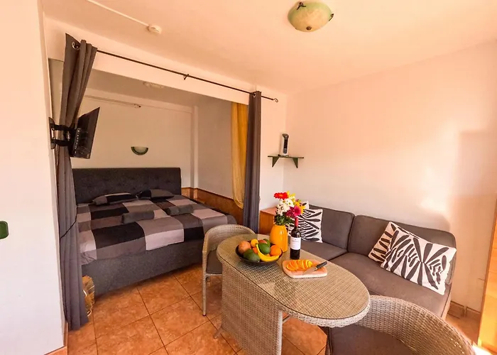 View - Apartment Puerto de la Cruz (Tenerife)